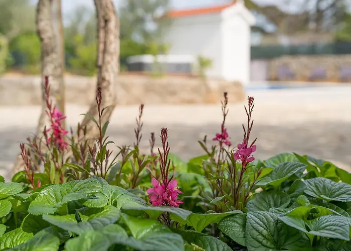 Stone Lady With Pool&hot Tub,sauna,bbq,garden *