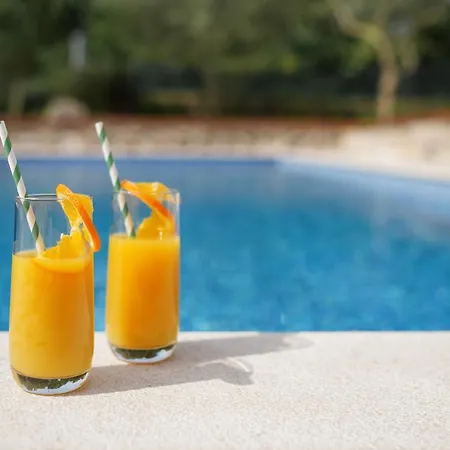 Tatil Evi Stone Lady With Pool&hot Tub,sauna,bbq,garden *