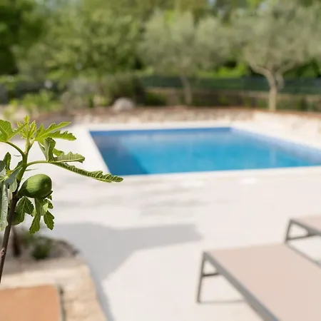 Tatil Evi Stone Lady With Pool&hot Tub,sauna,bbq,garden