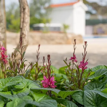 Stone Lady With Pool&hot Tub,sauna,bbq,garden *